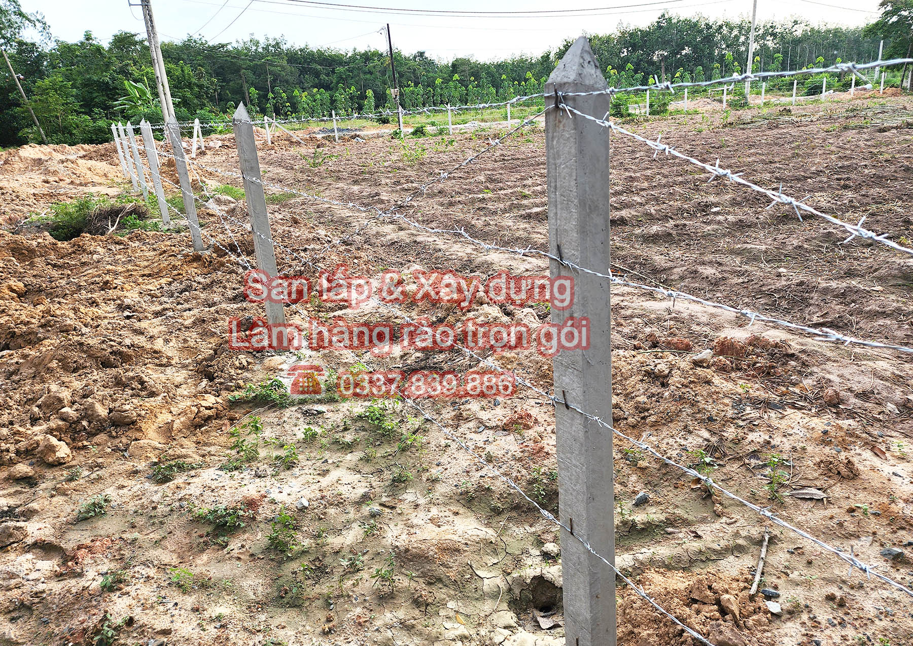 Hàng rào kẽm gai 4 hàng kẽm 1 đường chéo.jpg (1.05 MB)