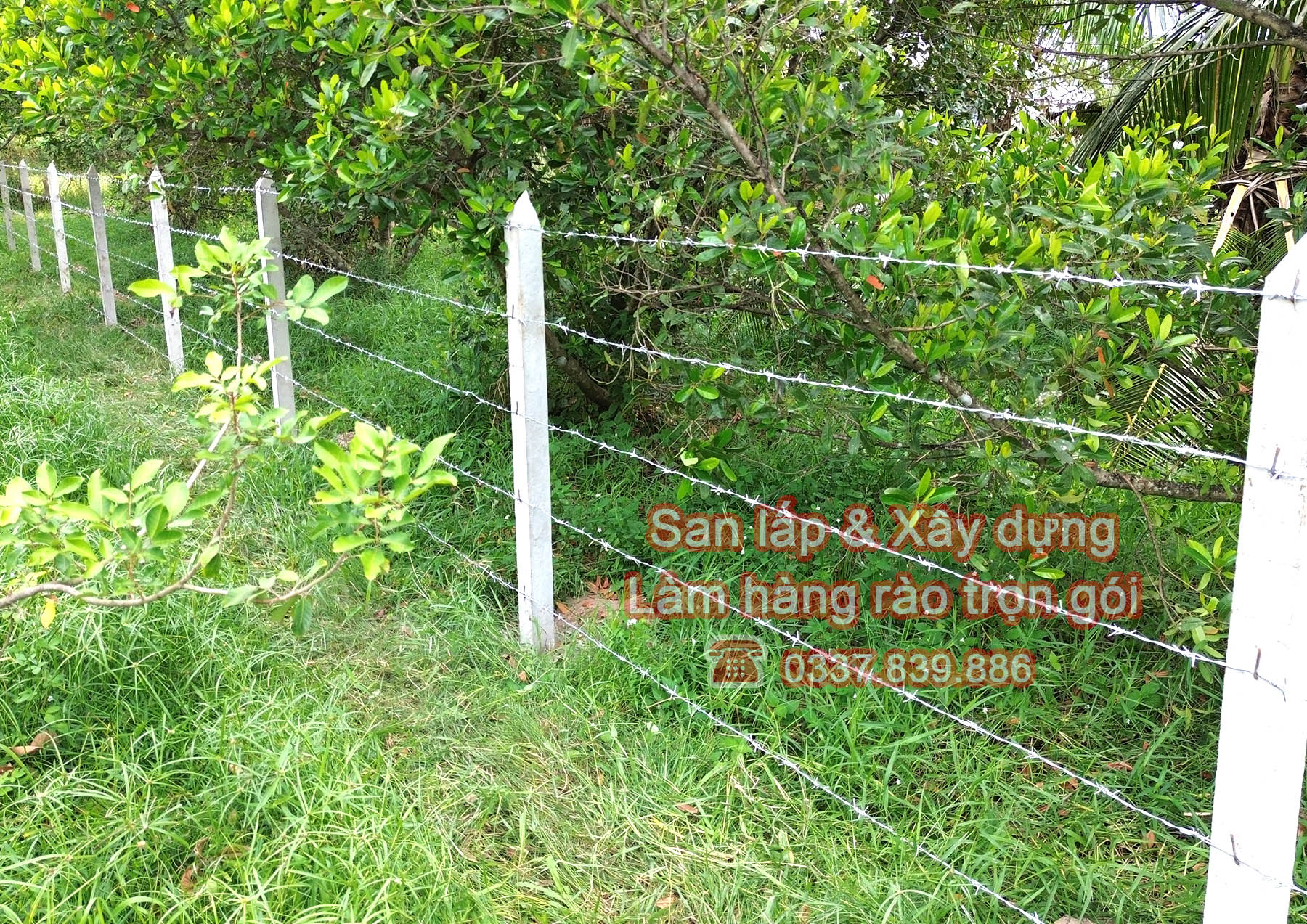 Xây dựng hàng rào kẽm gai bảo vệ vườn cây ăn trái.jpg (820 KB)