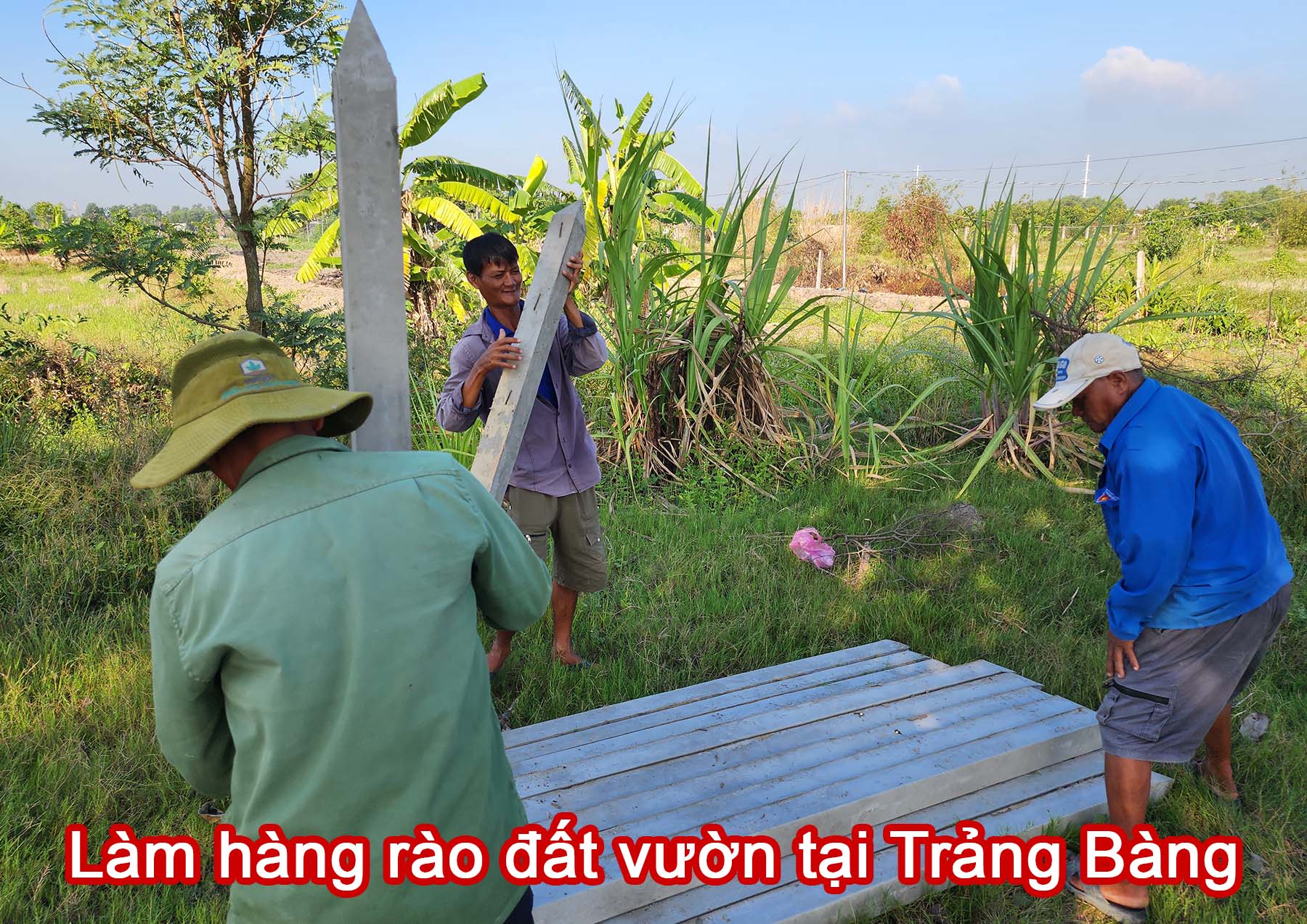 Làm hàng rào đất vườn tại Trảng Bàng.jpg (513 KB)