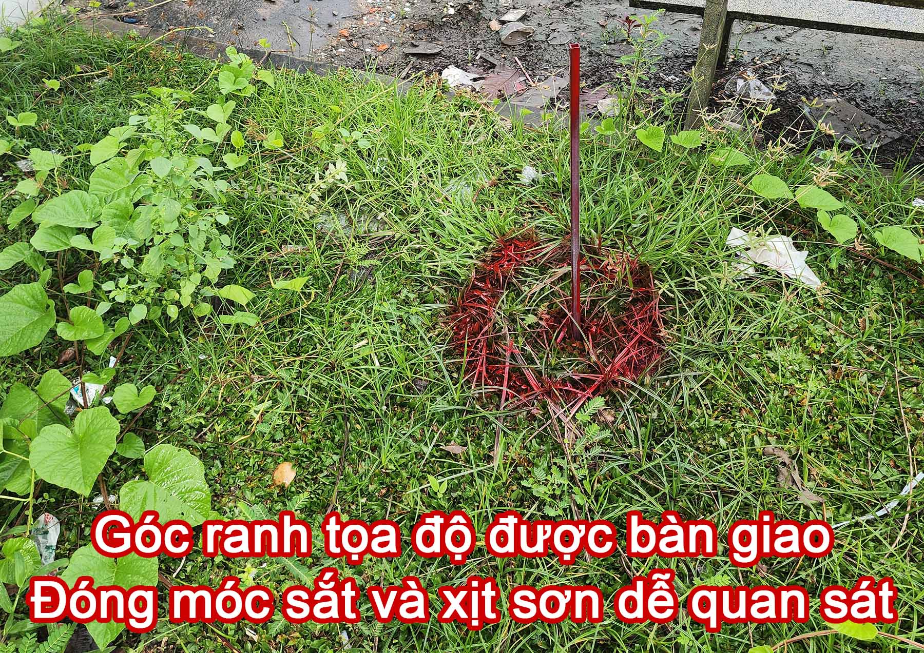 G&oacute;c ranh đất được b&agrave;n giao sau khi định vị tọa độ.jpg (739 KB)