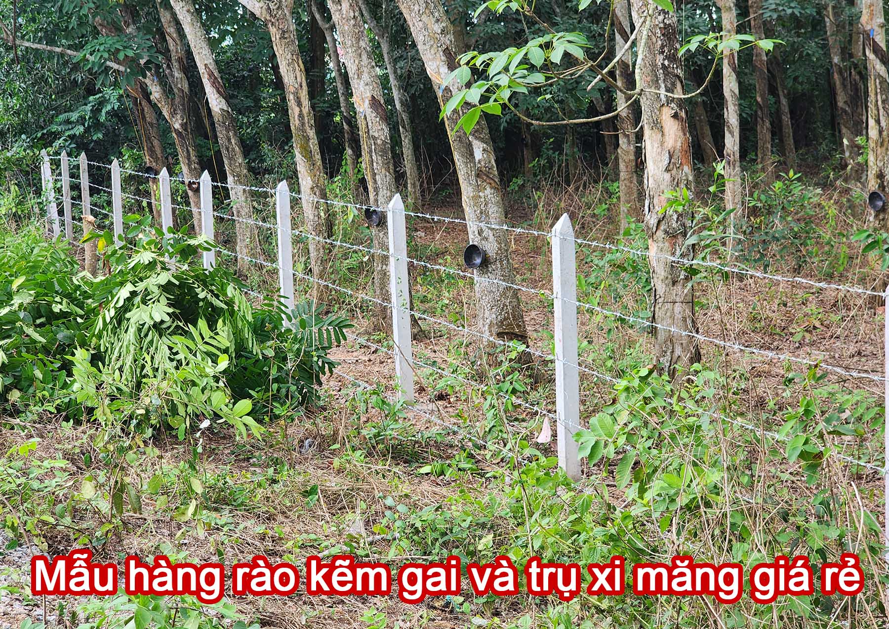 Mẫu h&agrave;ng r&agrave;o kẽm gai v&agrave; trụ xi măng gi&aacute; rẻ.jpg (693 KB)