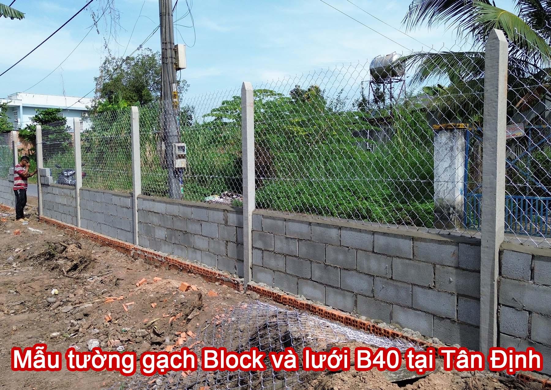 Mẫu tường gạch Block v&agrave; lưới B40 tại T&acirc;n Định.jpg (530 KB)