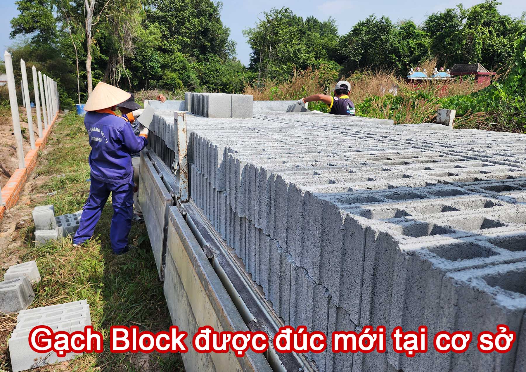 Gạch Block được đ&uacute;c mới tại cơ sở.jpg (502 KB)