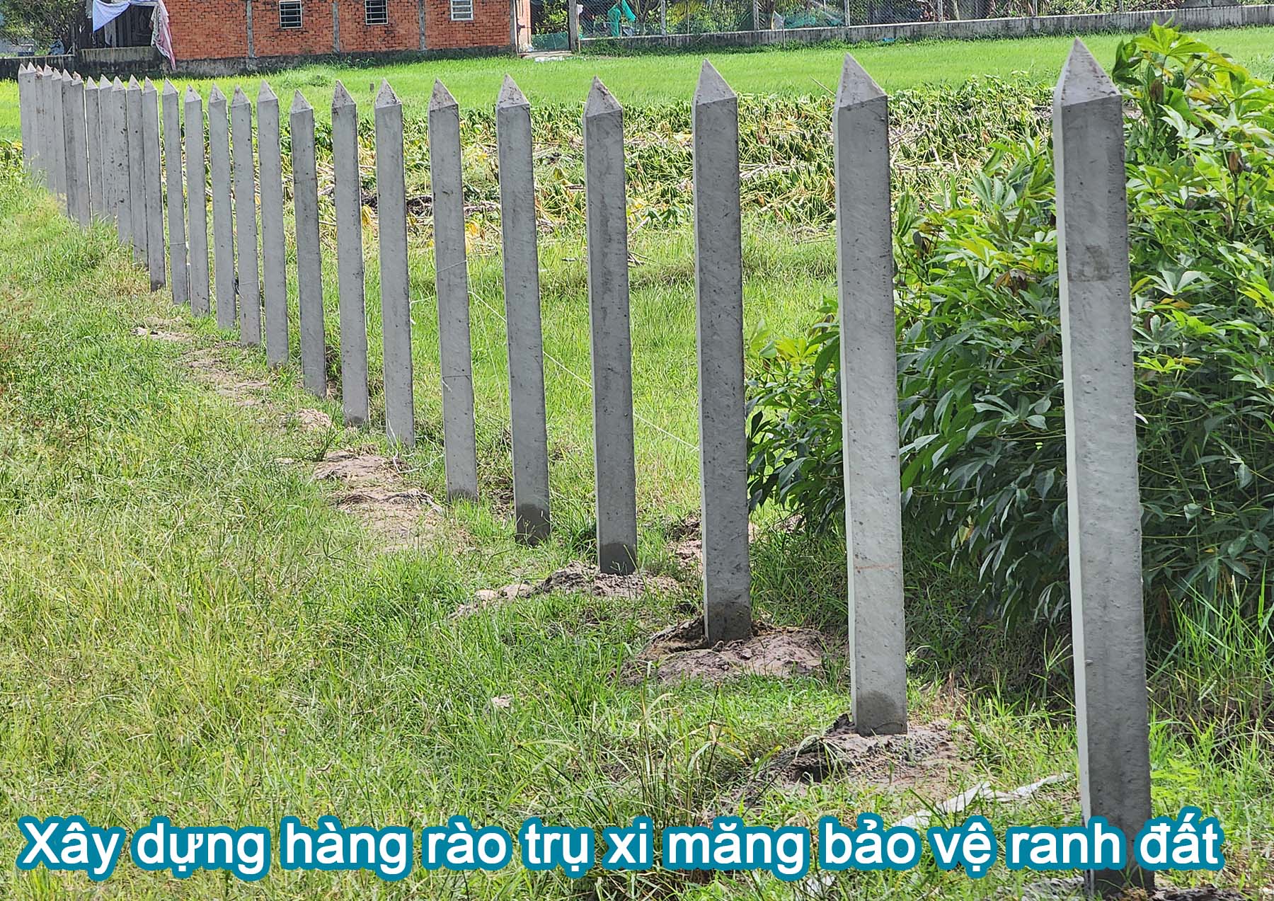 X&acirc;y dựng h&agrave;ng r&agrave;o trụ xi măng bảo vệ ranh đất.jpg (670 KB)